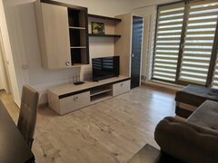 Bucurestii Noi, Pod Constanta, proprietar